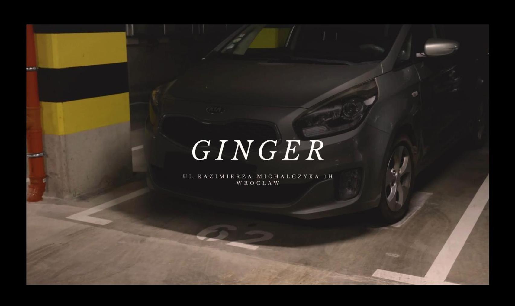 Apartament Ginger - Stare Miasto - Bezplatny Parking - Youtube Apartament Ginger We Wroclawiu Breslávia Exterior foto